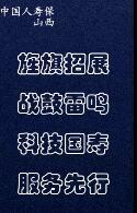 视频国寿全流程无纸化投保操作演示.rar