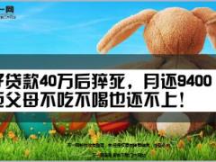 儿子贷款40万后猝死月还9400元年迈父母不吃不喝也还不上10页.ppt
