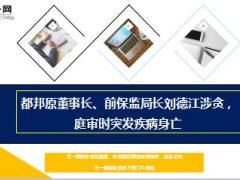 都邦原董事长前保监局长刘德江涉贪庭审时突发疾病身亡11页.ppt