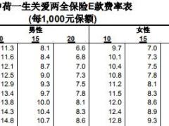 中荷一生关爱两全保险E款合同条款费率表.rar
