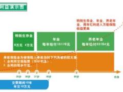 国寿鑫禧一生保险产品组合计划二折页.rar