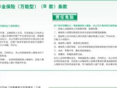 国寿鑫耀一生保险产品组合计划二折页.rar