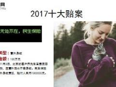 盘点民生保险2017年十大理赔案记13页.ppt