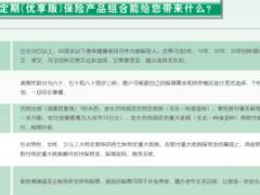 国寿新康优享版定期保险产品组合二折页.rar