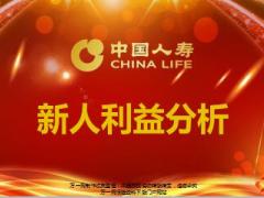 中国人寿新人利益分析基本法利益课件36页.ppt