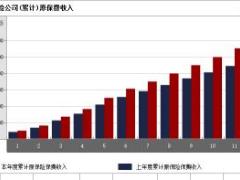 宁夏2017年前11月财险公司总保费排行榜.xls