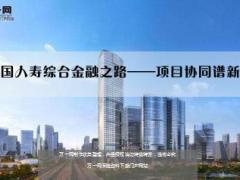 中国人寿综合金融之路项目协同谱新曲14页.ppt