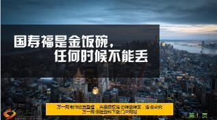 国寿福是金饭碗利益演示8页.ppt
