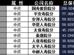 安徽省2017年前11月寿险公司总保费排行榜.xls