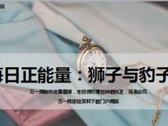 每日正能量狮子与豹子9页.ppt