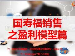 国寿福至尊版销售技能训练之盈利模型37页.ppt