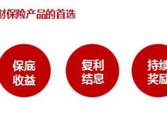 安邦随e赚两全保险万能型产品简介15页.ppt