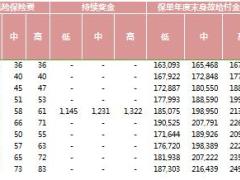 安邦安鑫利两全保险万能型A款自动计划书3页.xls