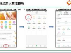 国寿e店新人育成系统操作指南2功能组组长版25页.ppt