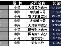 吉林省2017年前11月寿险公司总保费排行榜.xls