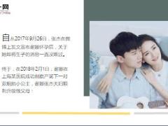 谢娜剖腹产下双胞胎小公主24页.ppt