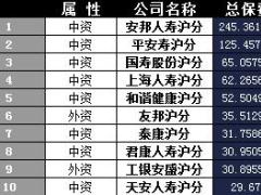 上海2017年前11月寿险公司总保费排行榜.xls