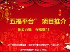 2018黄金五福理财产说会项目推动宣导片39页.ppt