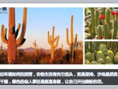 早会经营激励专题坚持精美17页.ppt