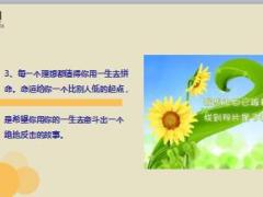 每日鸡汤对任何苦难都能积极面对.rar