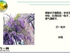 每日快乐早会18年2月5日使用15页.ppt