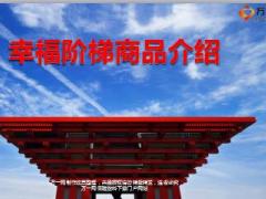 陆家嘴国泰人寿幸福阶梯产品开发背景形态简介案例说明19页.ppt