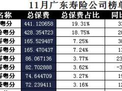 广东省2017年前11月寿险公司总保费排行榜.xls