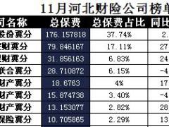 河北省2017年前11月财险公司总保费排行榜.xls