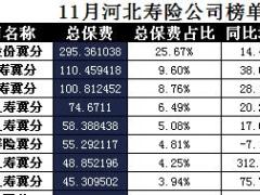 河北省2017年前11月寿险公司总保费排行榜.xls
