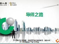 国寿导师荣誉体系培育体系成长之路39页.ppt