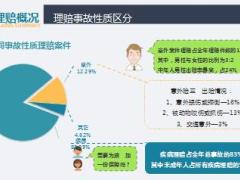 太平人寿2017年度理赔盘点24页.ppt