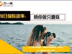 每日保险故事陪你做只蘑菇6页.ppt
