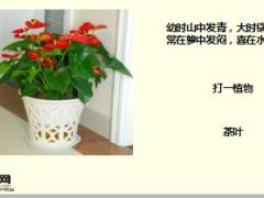 每日快乐早会18年2月7日使用15页.ppt.ppt