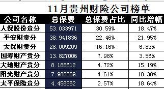 贵州省2017年前11月财险公司总保费排行榜.xls