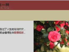 每日鸡汤阳光总在风雨后.rar
