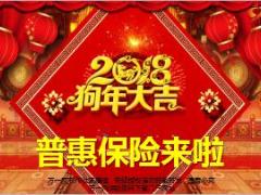 中国人寿春节普惠保险活动险种介绍14页.ppt