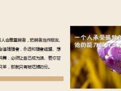 每日鸡汤运气是努力的附属品.rar