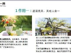 每日健康它是比饭后百步走更好的运动方式10页.ppt