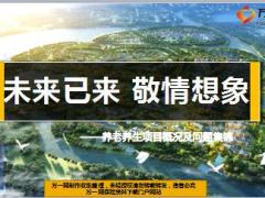 国寿养老养生项目概况战略布局四大权益竞争优势及问题集锦50页.ppt