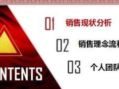 保险绩优分享卓越至尊销售三步曲29页.ppt