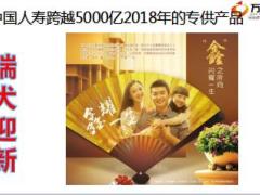 2018年专供产品国寿鑫耀一生跨越5000亿产品宣导10页.ppt