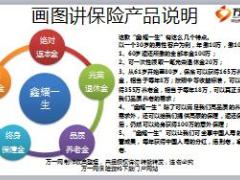 国寿鑫耀一生画图讲保险产品说明及产品权益4页.ppt