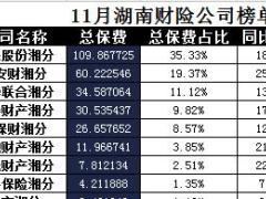 湖南省2017年前11月财险公司总保费排行榜.xls