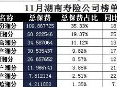 湖南省2017年前11月寿险公司总保费排行榜.xls