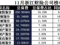 浙江省2017年前11月财险公司总保费排行榜.xls