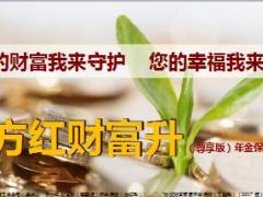 太保东方红财富升尊享版年金保险分红型养老规划理念篇25页.ppt