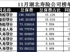 湖北省2017年前11月寿险公司总保费排行榜.xls