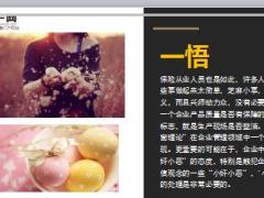 每日保险故事破窗理论5页.ppt