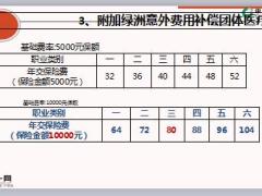 国寿绿洲团体系列产品介绍32页.ppt