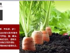 每日健康香菜的一个部位能治冠心病但几乎所有人都把它扔掉了10页.ppt